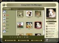 CrazyTalk Home Edition screenshot